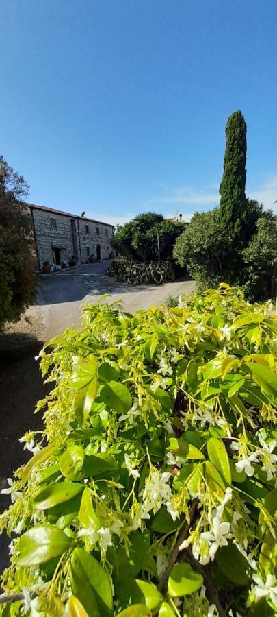 Case Cordovani Magliano in Toscana Kültér fotó