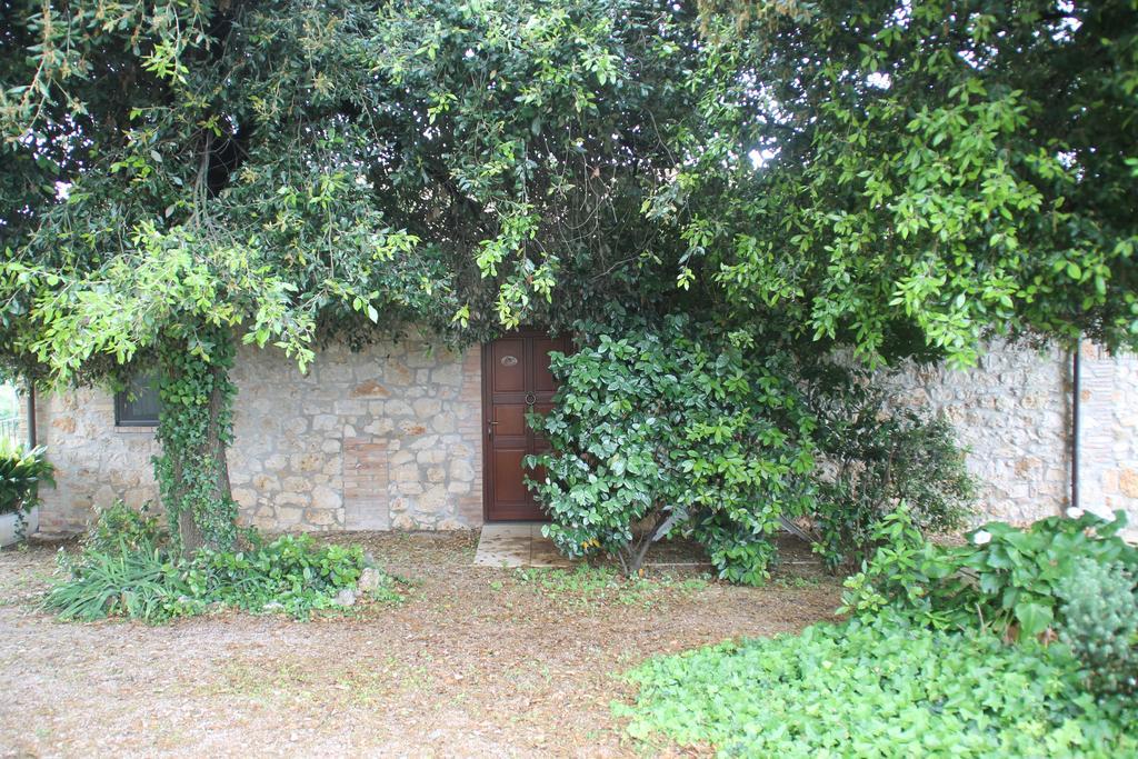 Case Cordovani Magliano in Toscana Kültér fotó