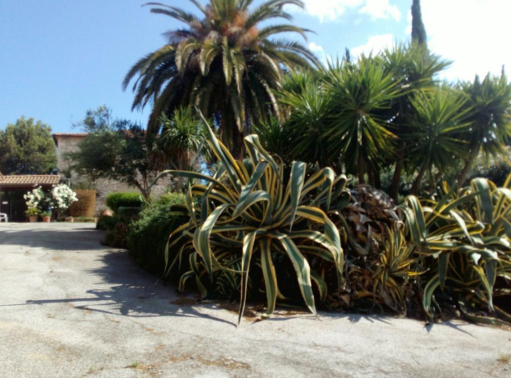 Case Cordovani Magliano in Toscana Kültér fotó