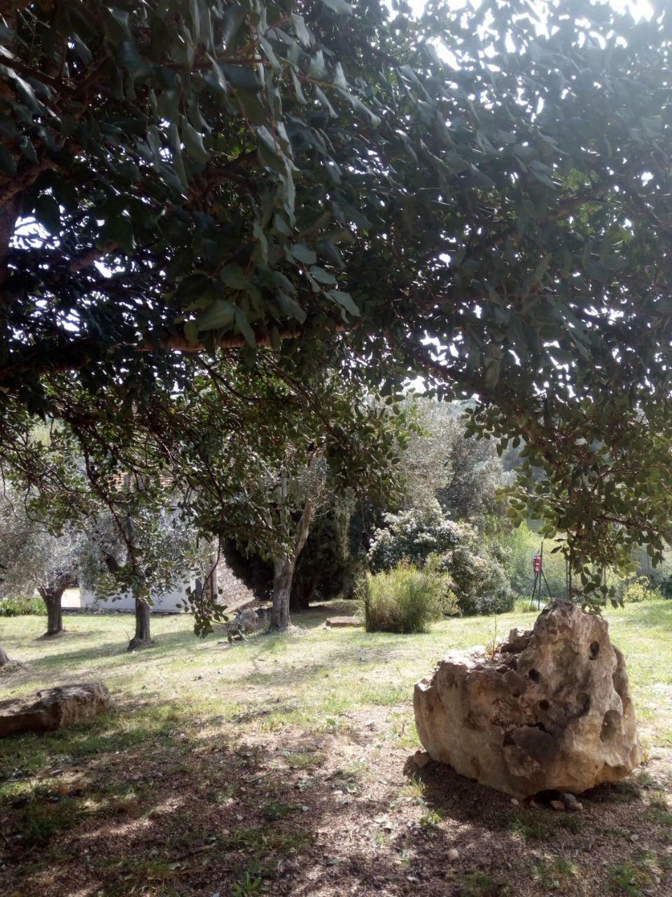 Case Cordovani Magliano in Toscana Kültér fotó